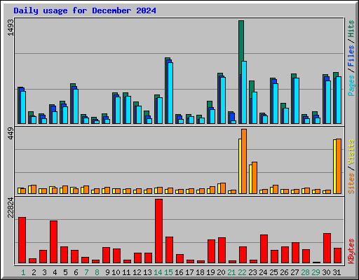 Daily usage for December 2024