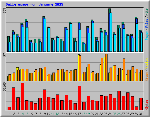 Daily usage for January 2025