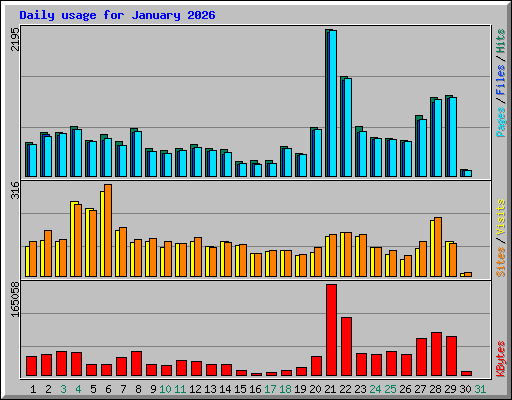 Daily usage for January 2026