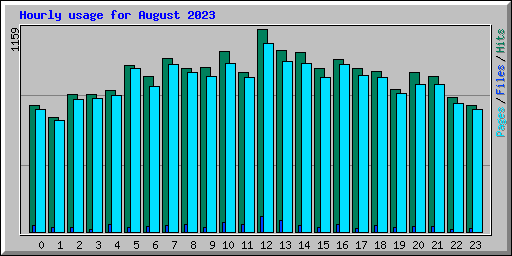 Hourly usage for August 2023