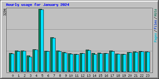 Hourly usage for January 2024