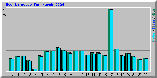 Hourly usage for March 2024