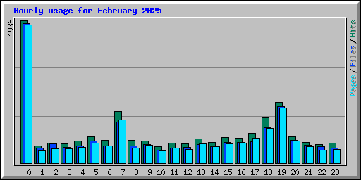 Hourly usage for February 2025