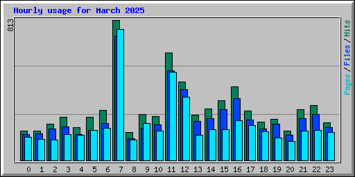 Hourly usage for March 2025
