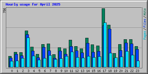 Hourly usage for April 2025
