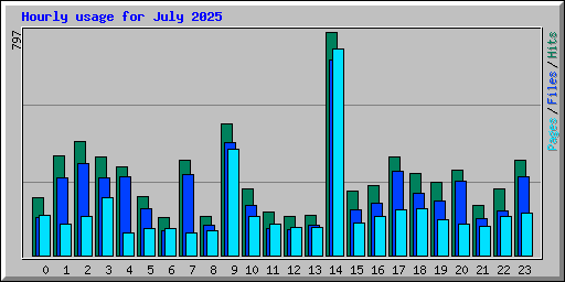 Hourly usage for July 2025