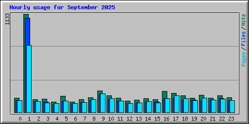 Hourly usage for September 2025