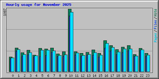 Hourly usage for November 2025