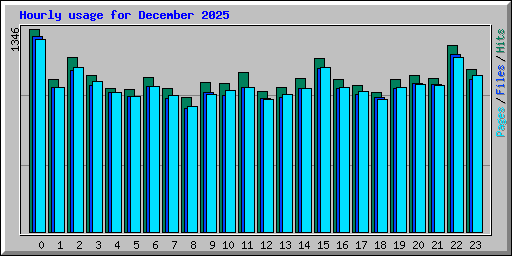 Hourly usage for December 2025