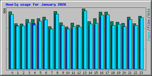 Hourly usage for January 2026