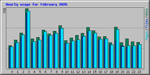Hourly usage for February 2026